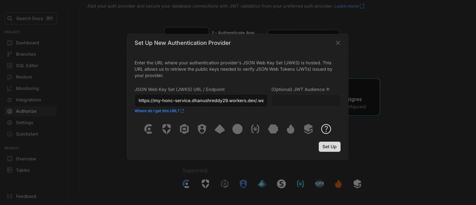 Custom JWT JWKS url in Neon